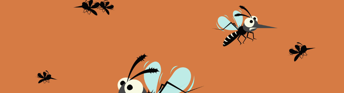 Nebulização a Frio: Mosquitos Voadores  24 HORAS